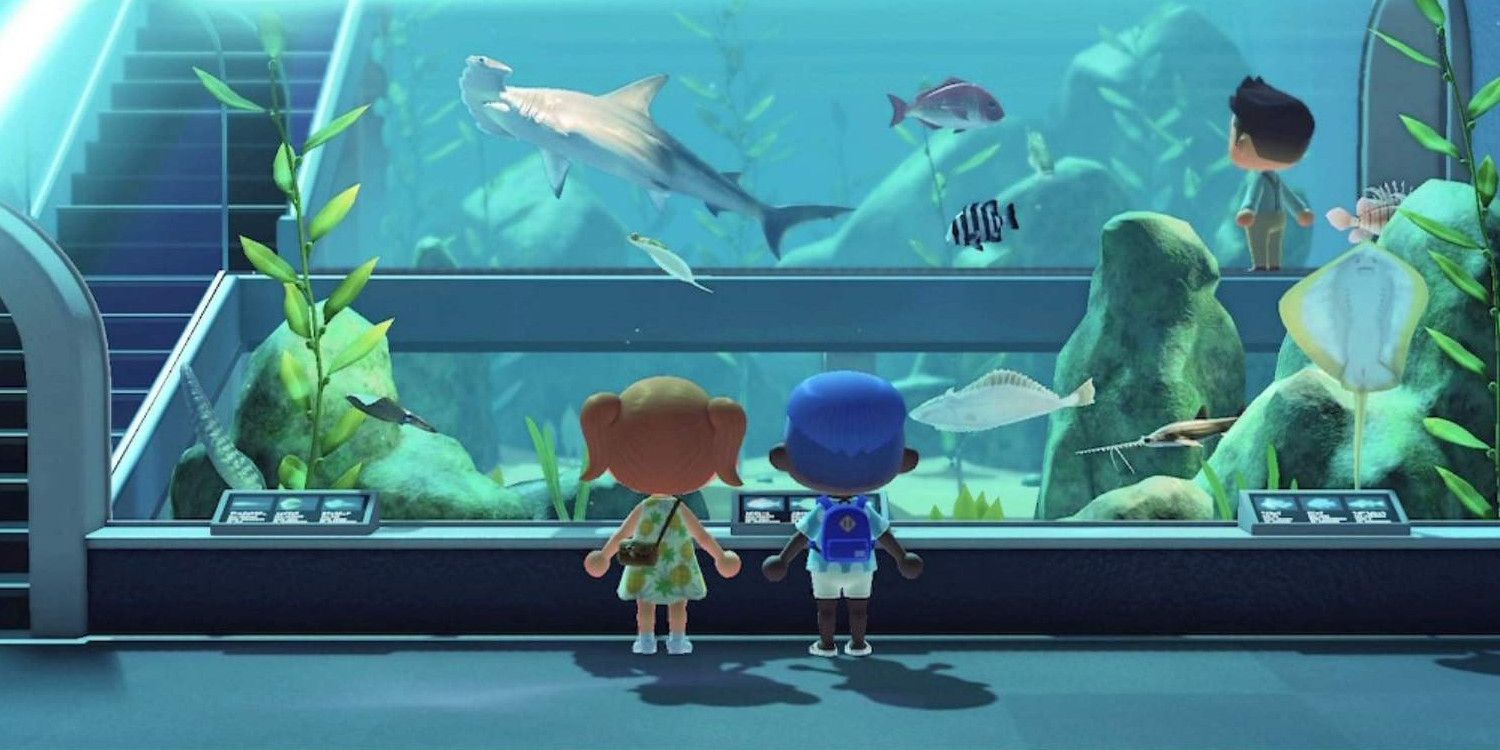 Animal Crossing: New Horizons visit museum during pandemic