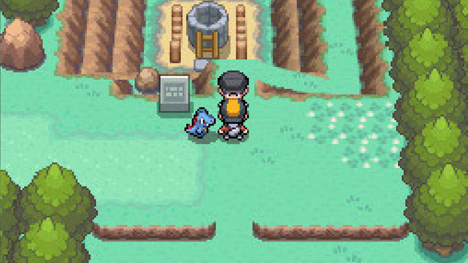 Pokemon Heartgold and Soulsilver gameplay