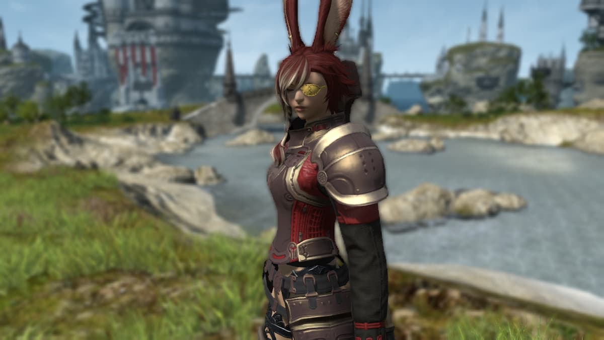 Final Fantasy XIV duty support