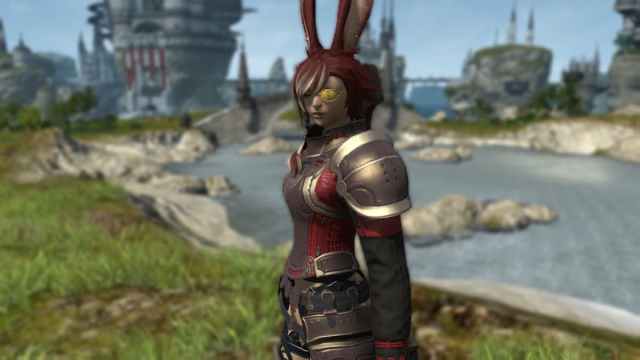 Final Fantasy XIV duty support