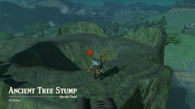 Akkala Tree Stump in The Legend of Zelda: Tears of the Kingdom.