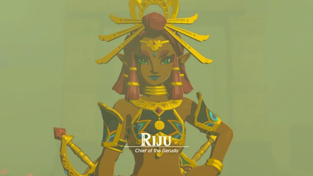 Tears of the Kingdom Gerudo Riju