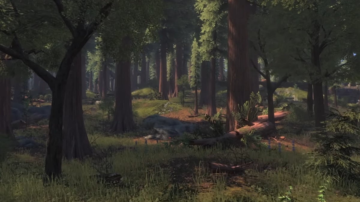 Skyblivion: A dense-looking forest.