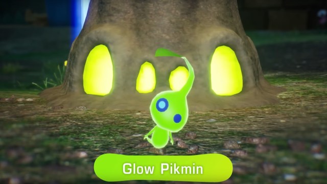 Glow Pikmin in Pikmin 4.