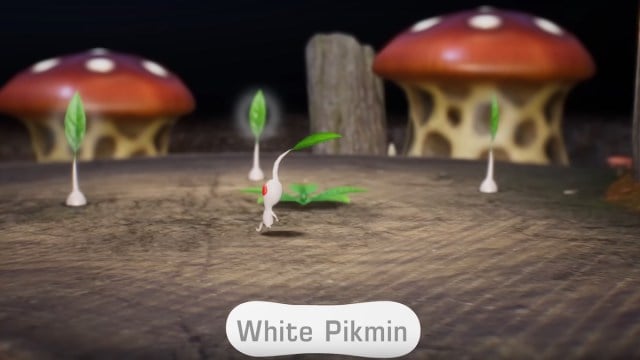 White Pikmin in Pikmin 4