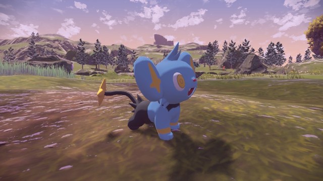 Shinx in. Pokemon Arceus.