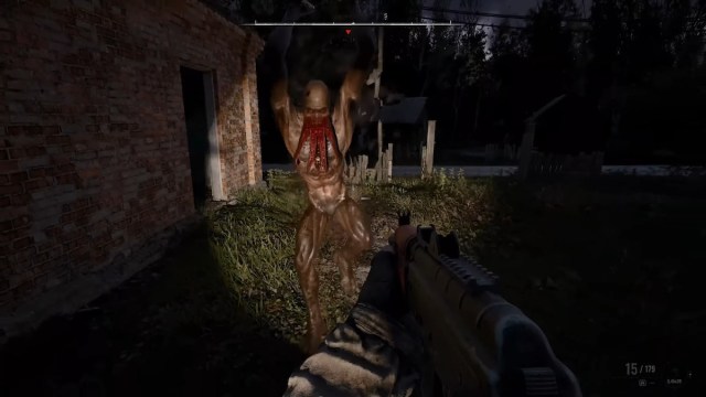 Stalker 2 mutant. 