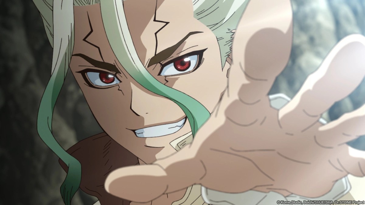 Dr. Stone