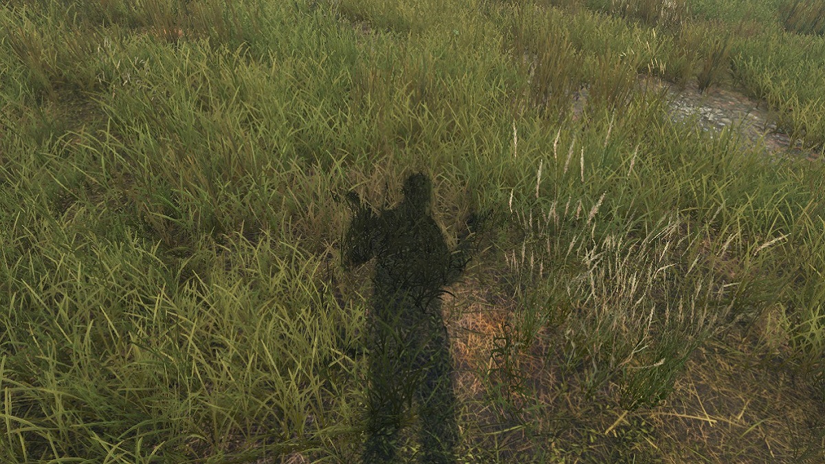 DayZ: the player's shadow seen shrugging their shoulders