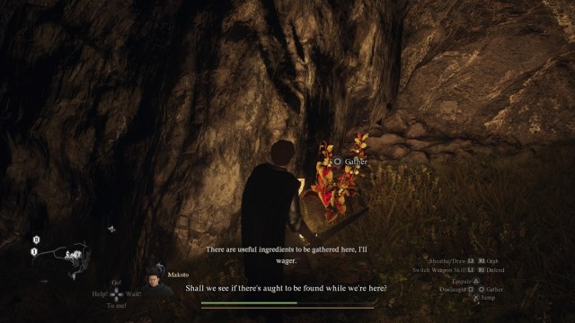 Grandpetals in Dragon Dogma 2 location