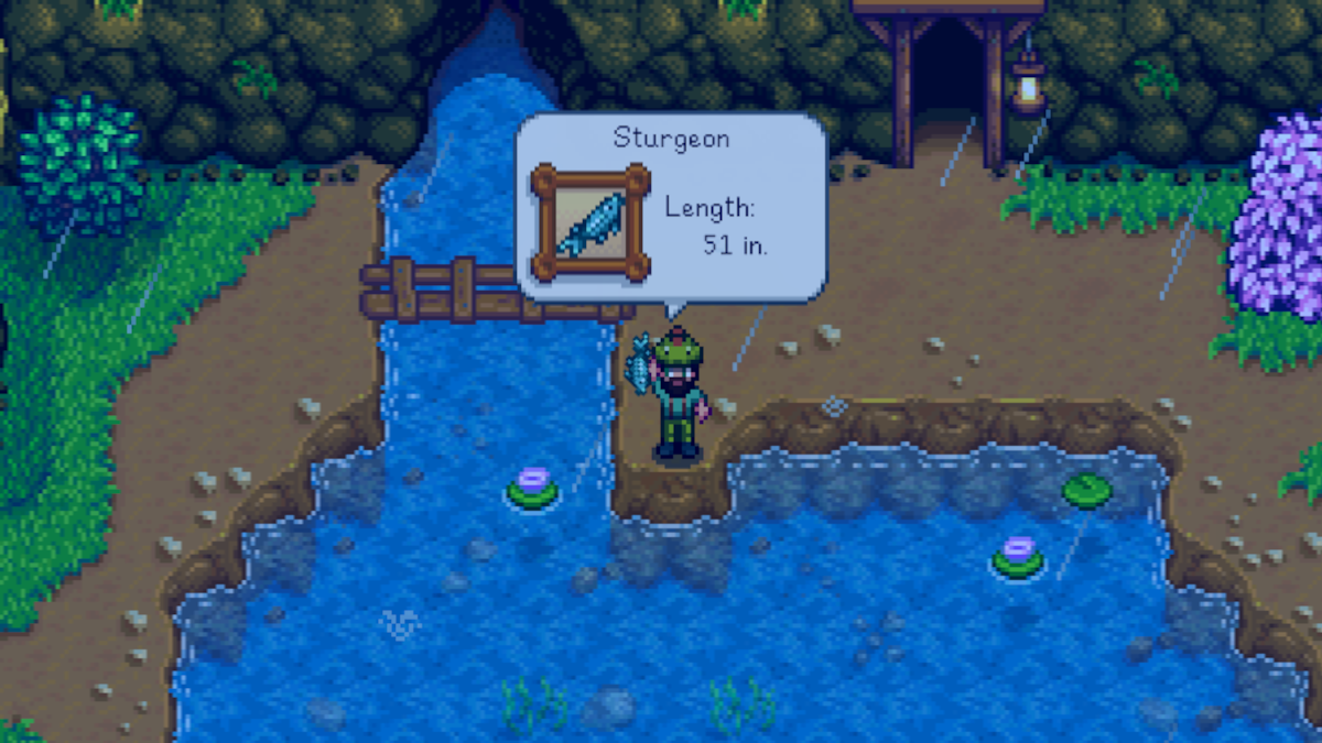 Player having caught a Sturgeon in Stardew Valley