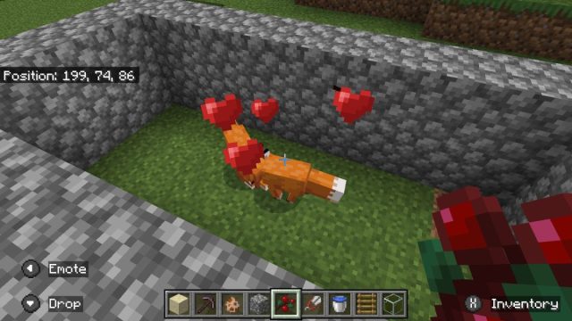 How to tame a fox in Minecraft