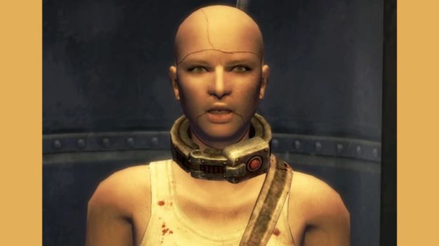 christine royce companion in fallout new vegas