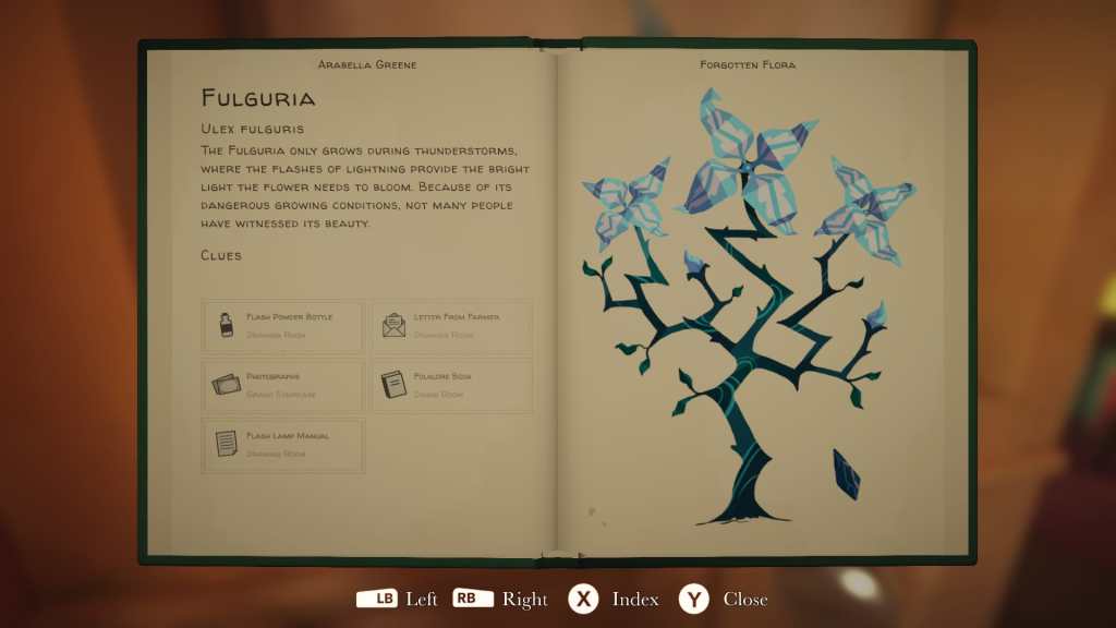 Full profile of the Fulguria in Botany Manor