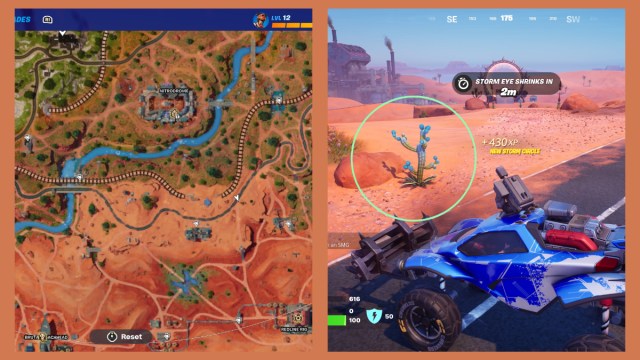 Slurp Cactus Fortnite location and map