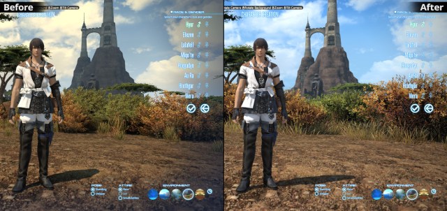The Vignette has being removed in the Final Fantasy XIV character creation menu