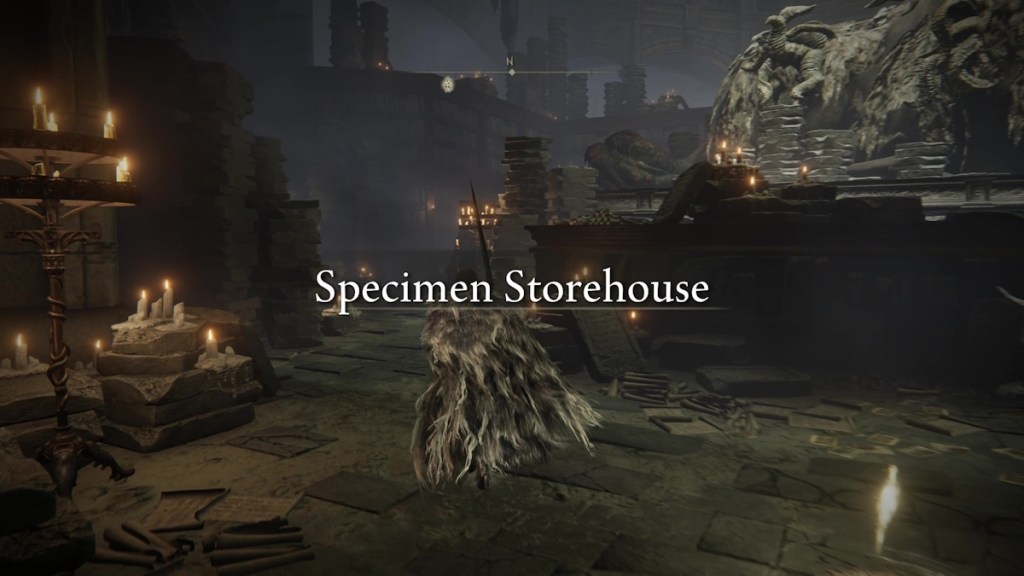 Where to find the Dueling Shield in Elden Ring Shadow of the Erdtree - starting at the specimen storehouse