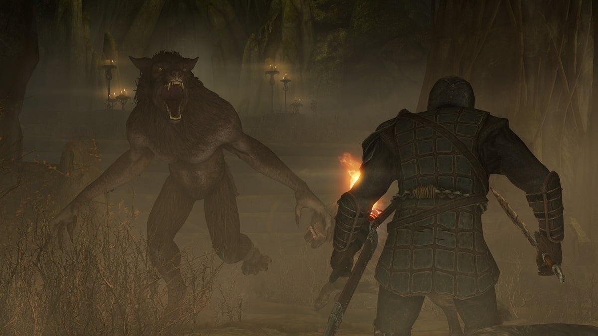 Skyrim: a knight and a werewolf about to fight in a cave.