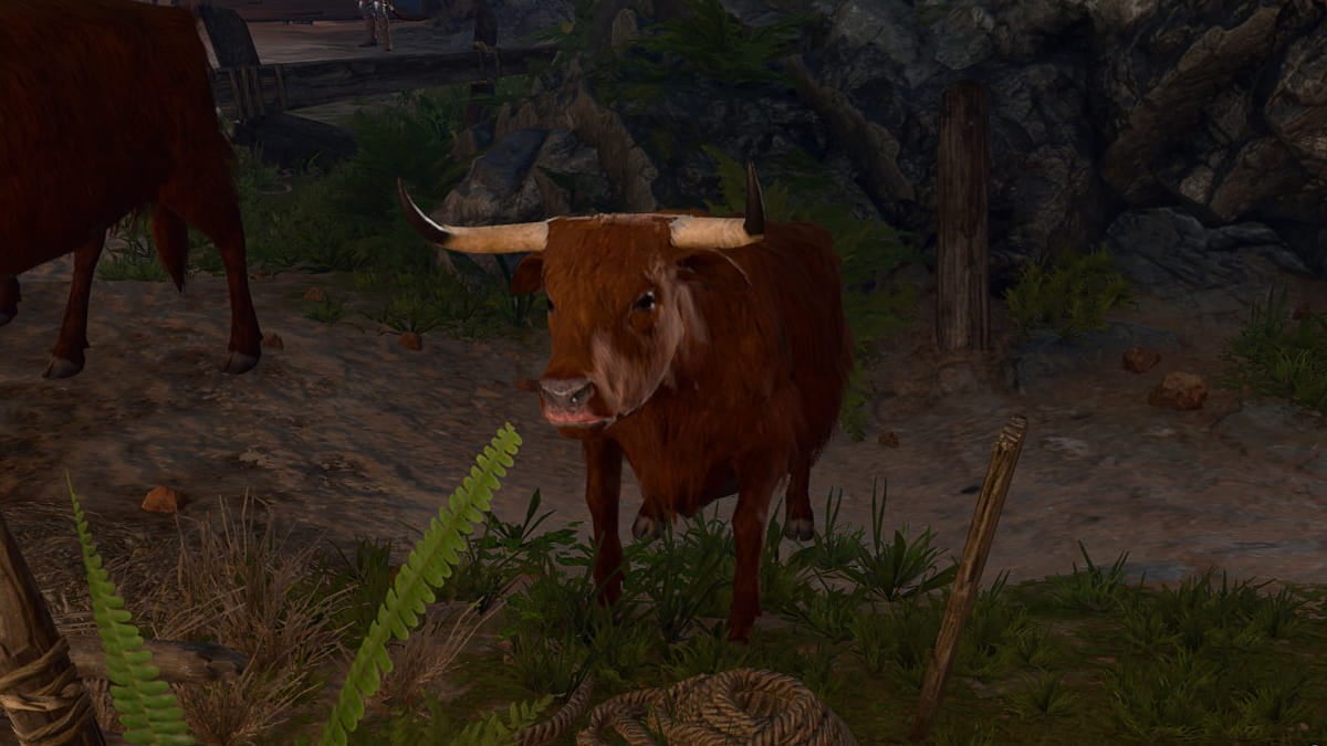 Baldur's Gate 3 Strange Ox