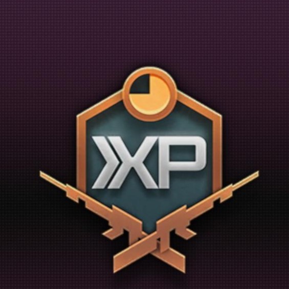 Double Weapon XP Token