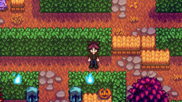 The Maze at the Spirit's Eve Festival in Stardew Valley