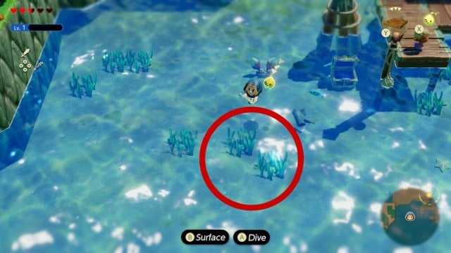 Seaweed in Zelda Echoes of Wisdom