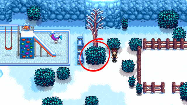 The bush you need to interact with in order to complete 'A Winter Mystery' in Stardew Valley