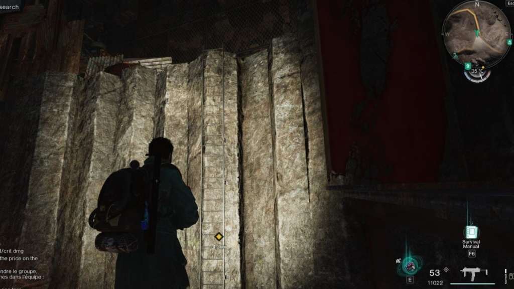 A hidden ladder in Sunshroud Cave, leading to two additional storage chests.