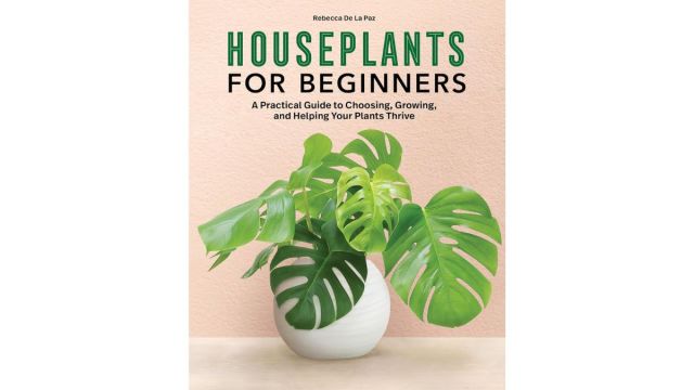 The Houseplants for Beginners book cover for Amazon Prime Day deals.