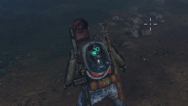 A survivor with a backpack and weapons.