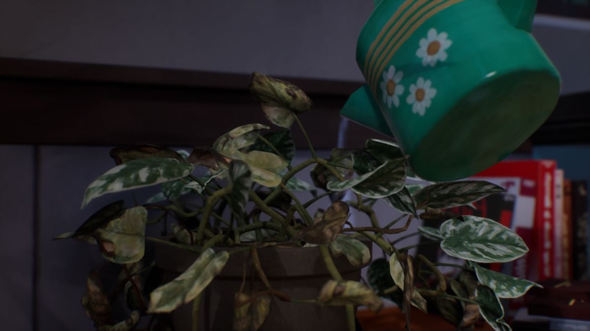 How to water both plants in Life is Strange: Double Exposure