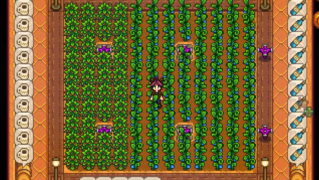 Sweet Gem Berries and Ancient Fruit in Stardew Valley