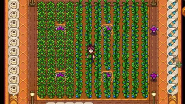 Sweet Gem Berries and Ancient Fruit in Stardew Valley