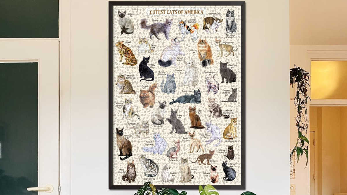 Cutest cats in America poster jigsaw puzzle