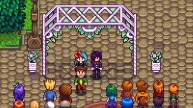 Sebastian marriage in Stardew Valley