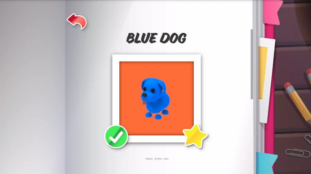 Blue Dog