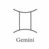 Gemini sign