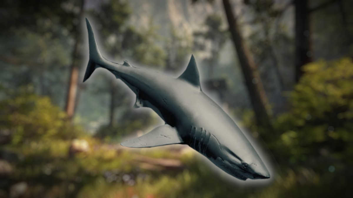 Shark in The Forest