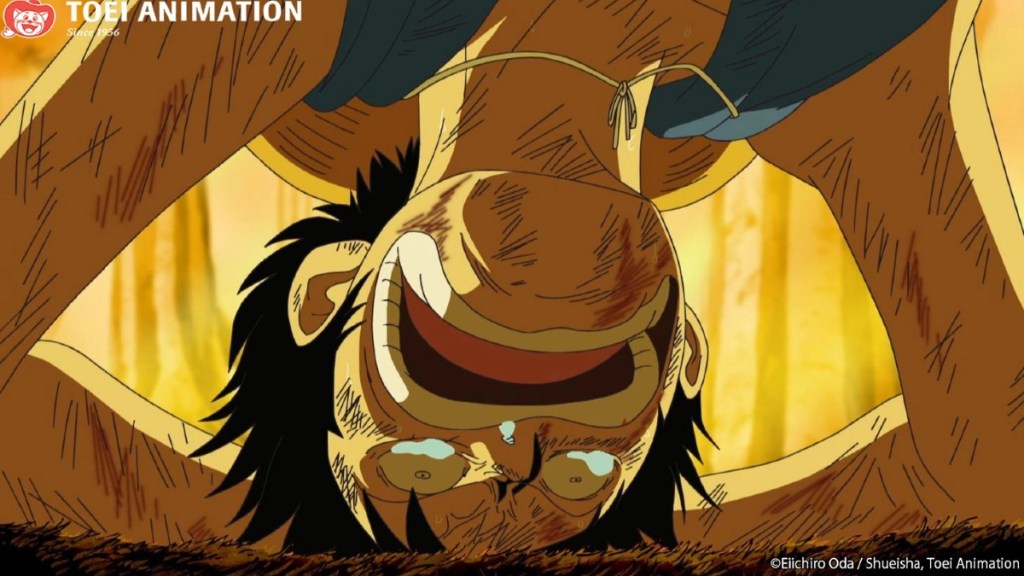 Luffy in shambles after Straw Hat separation in One Piece