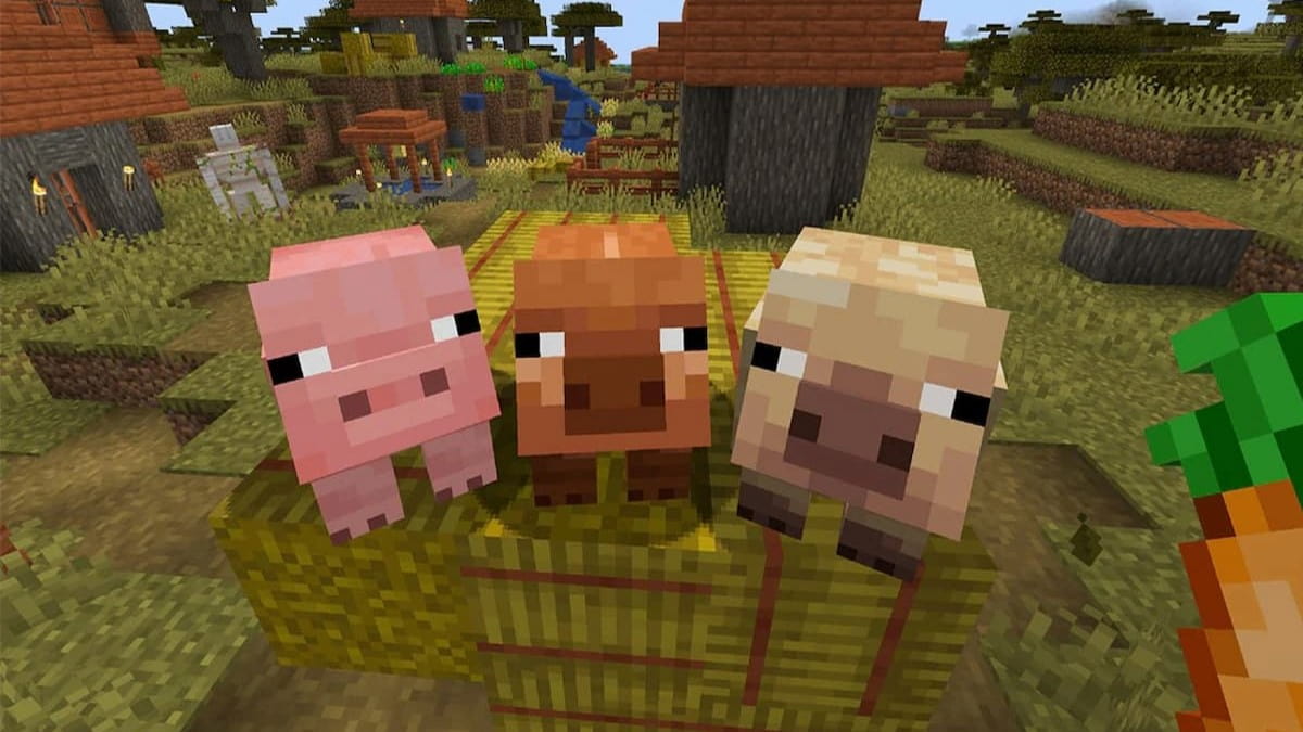 Minecraft new pig variants