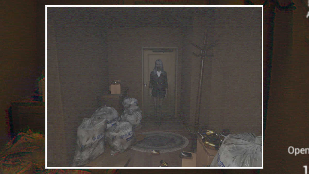 Apartment photo in Cursed Digicam