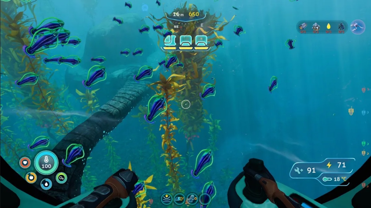 How to find diamonds fast and easy in Subnautica - fish swimming around in Subnautica