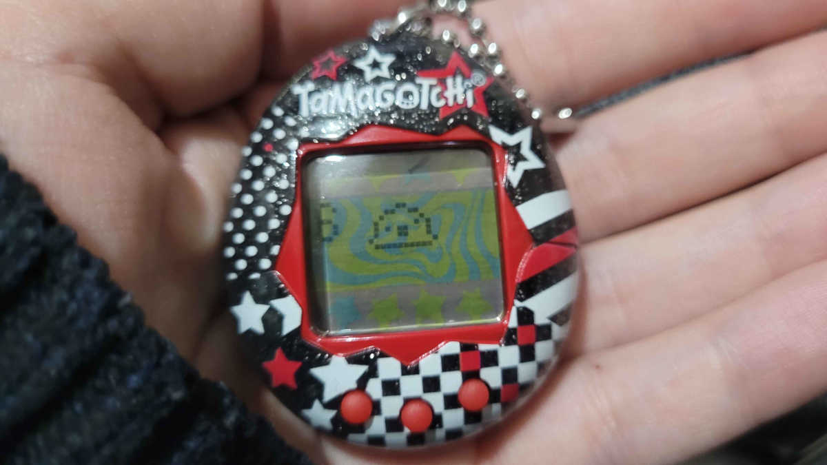 Playing higher or lower with my Tamagotchi.