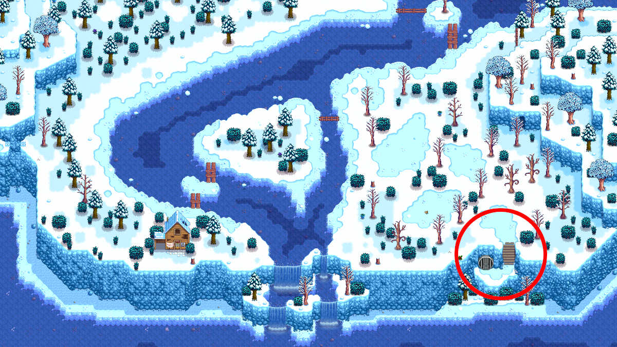 Where to find the Trash Bear in Stardew Valley