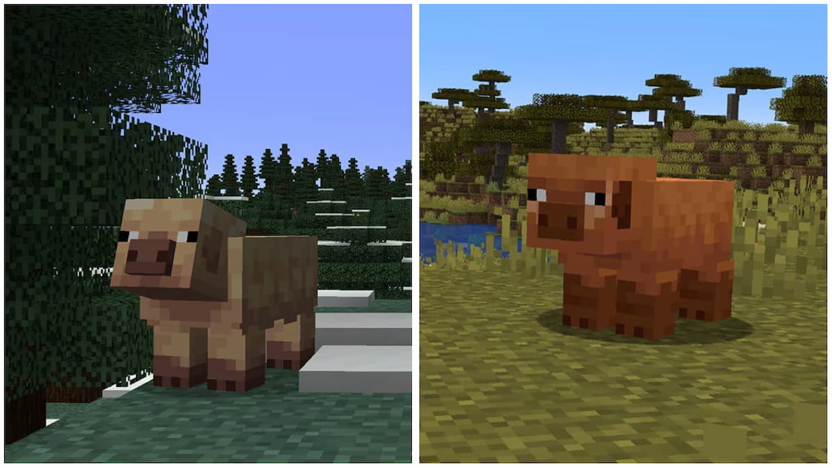 Cold and Warm Pigs in Minecraft