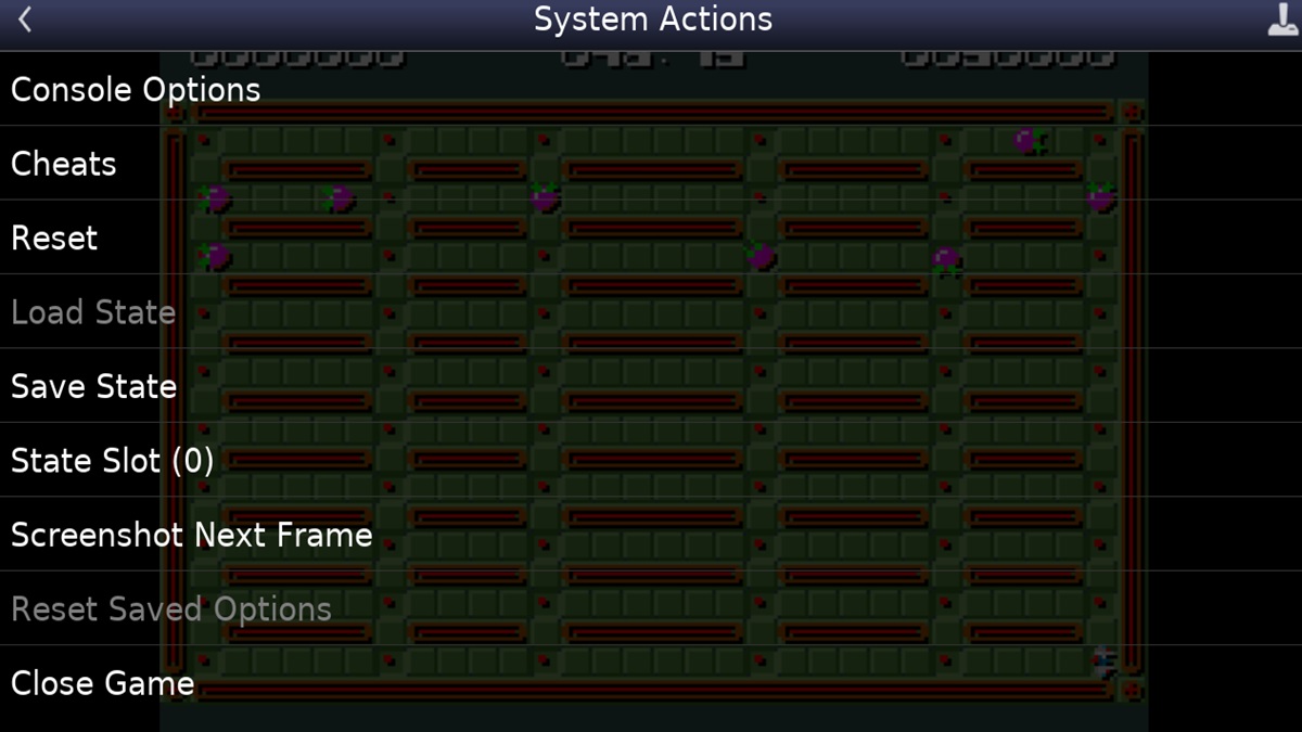 The Snes9x running a game