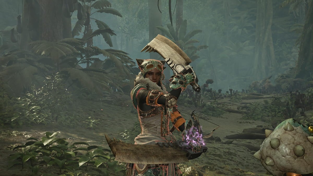 Hunter in Monster Hunter Wilds