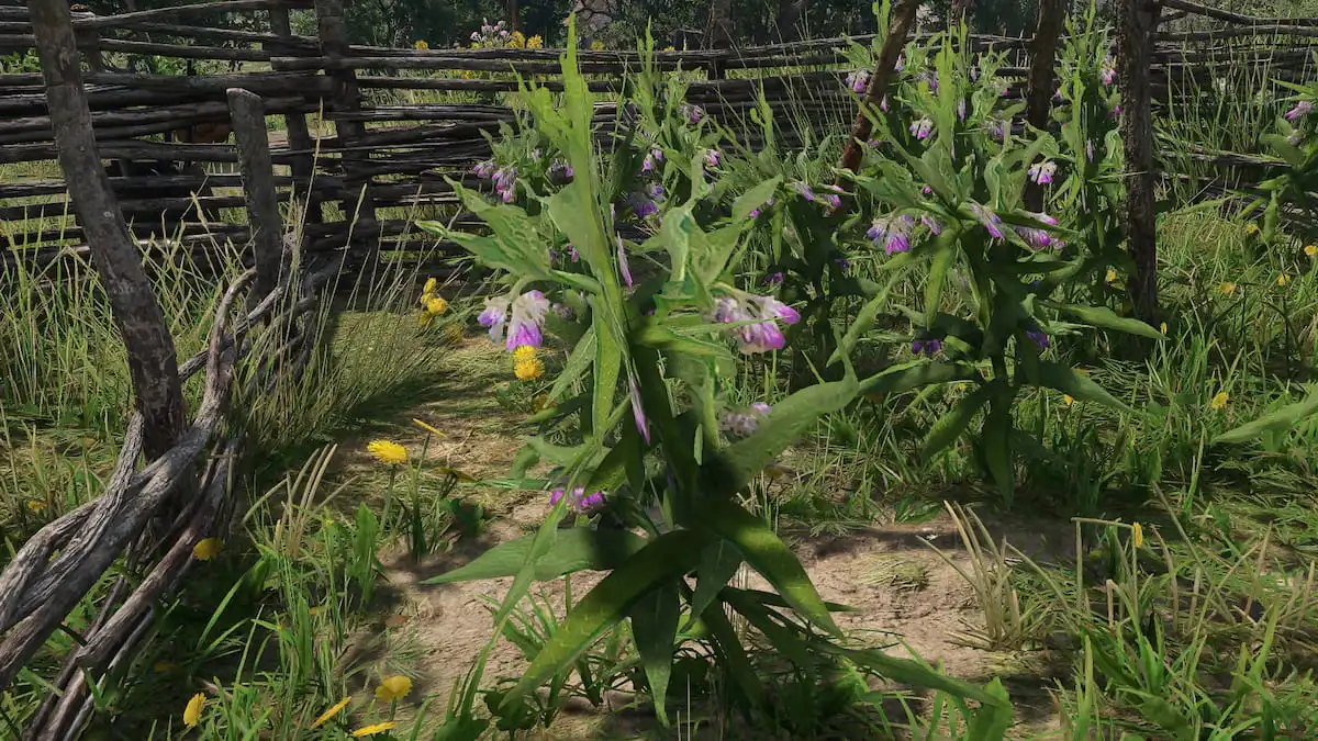 Kingdom Come Deliverance 2 Comfrey