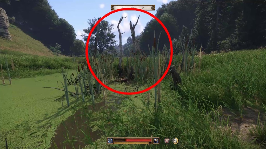 Kingdom Come Deliverance 2 - Vidlak Bandit's map treasure location - Dead trees in the water