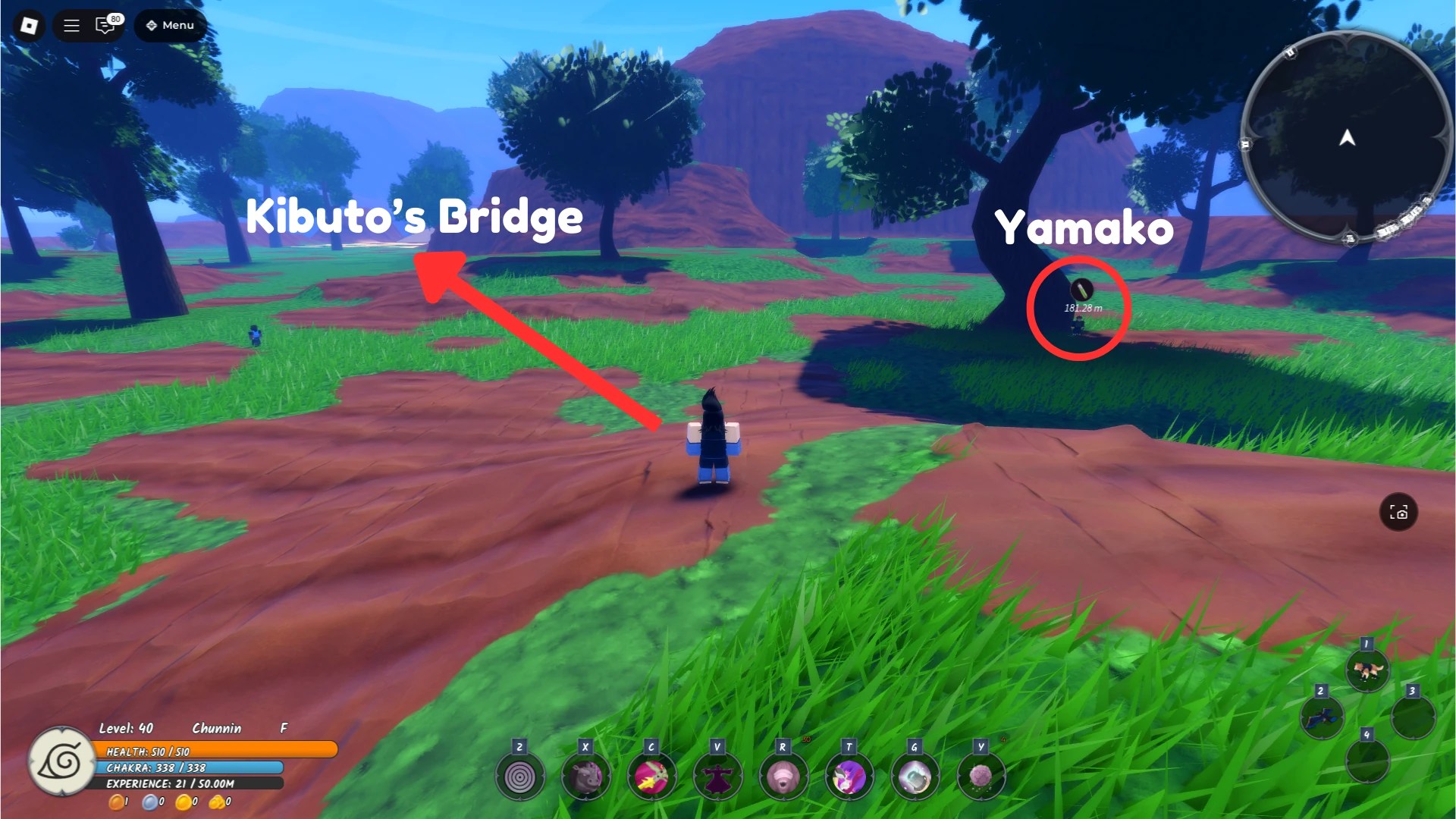 A player showing where Kibutos Bridge is in Ninja Time Roblox experience